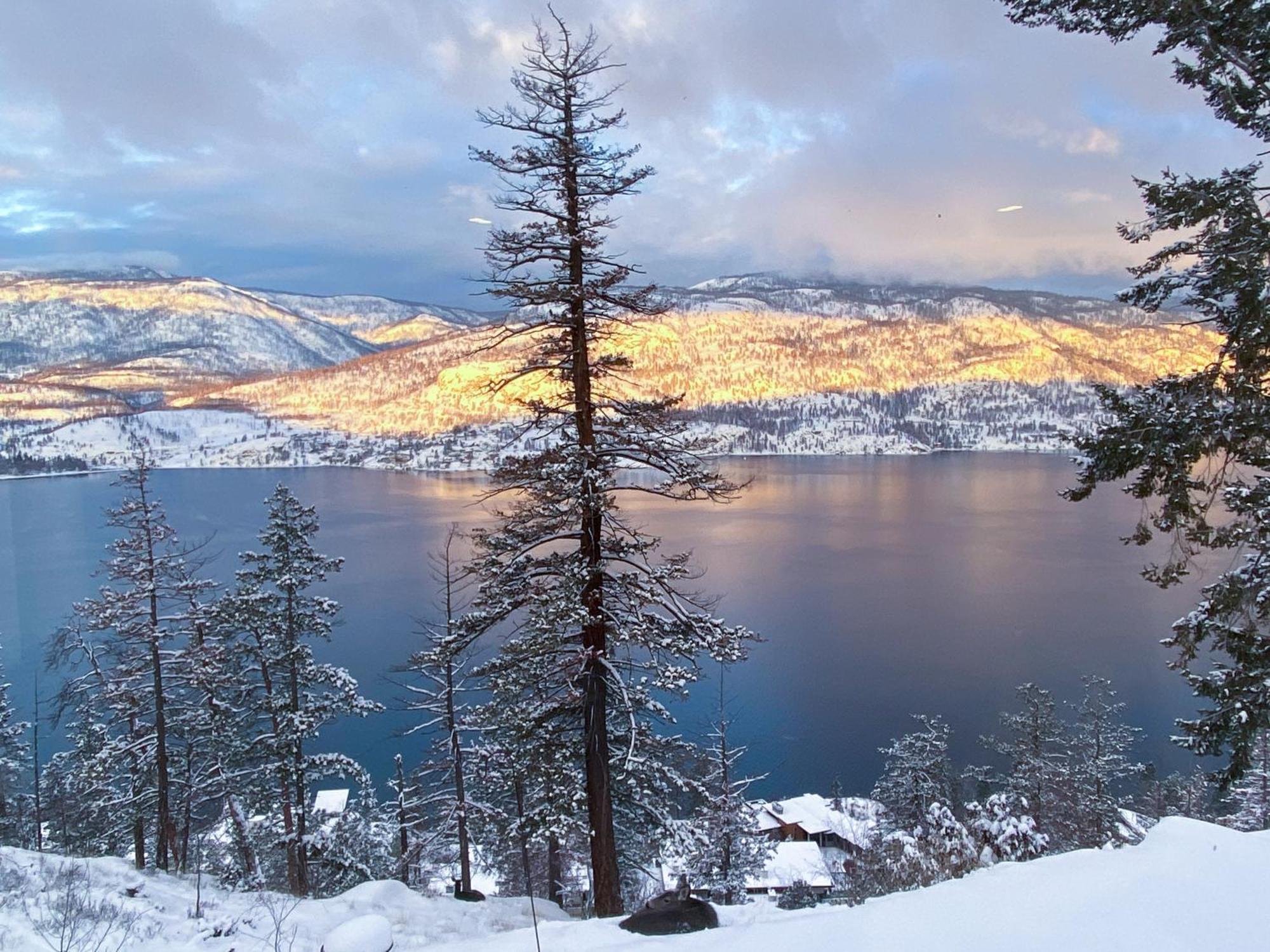 Kelowfornia Lakeview Retreat 基洛纳 外观 照片
