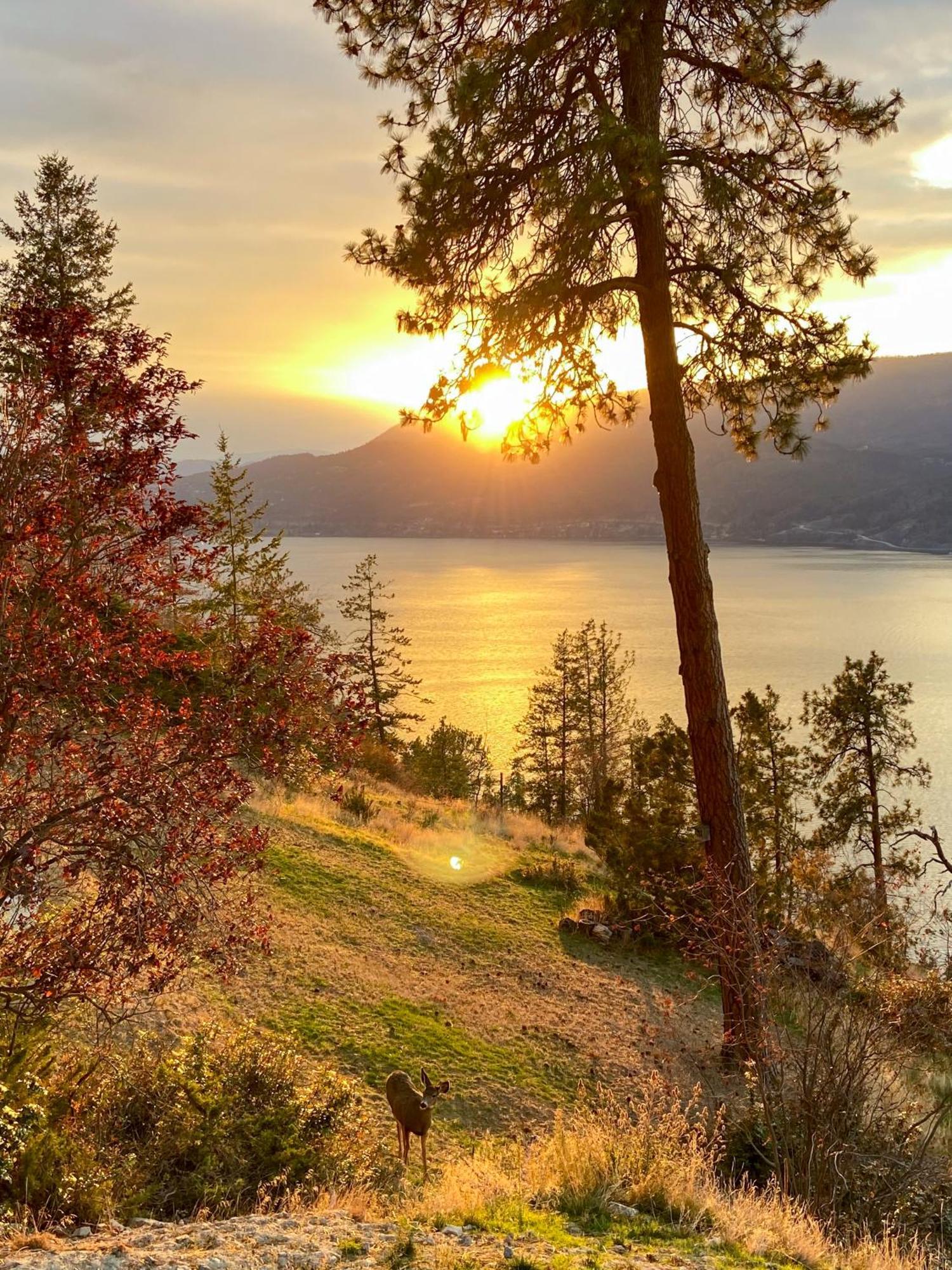 Kelowfornia Lakeview Retreat 基洛纳 外观 照片