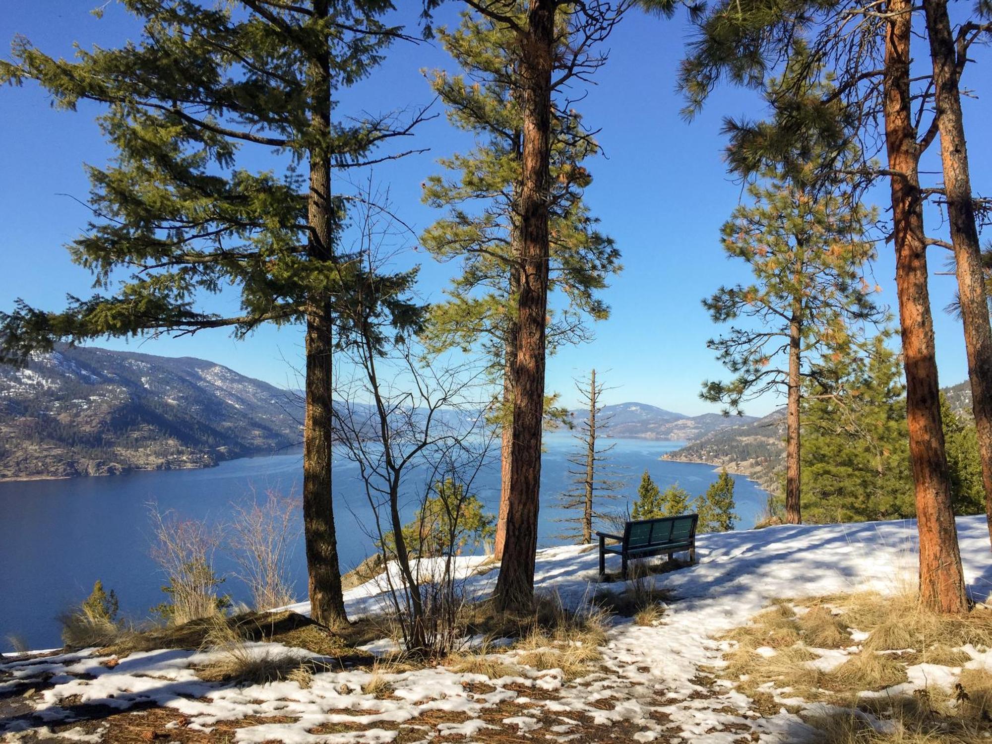 Kelowfornia Lakeview Retreat 基洛纳 外观 照片